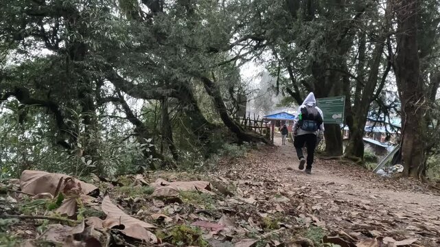 Scenic Trekking Journey to Mardi Himal High Camp in Nepal - Himalayan Adventure Footage