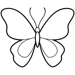 Butterfly black and white line drawing simple on white background 