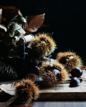 Rustic autumn scene featuring spiky chestnut burrs