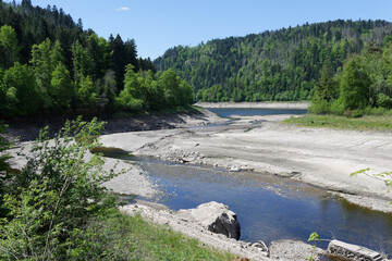 Dried Riverbed Surrounded by Forested Slopes in a Sunny Landscape