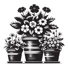 3 pots of flowers images vector
