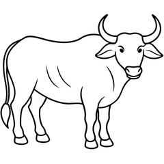 Buffalo Outline Drawing Simple Farm Animal Line Art for Coloring and Education

