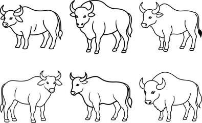 Educational Buffalo Line Drawing for Coloring Activities Bundle