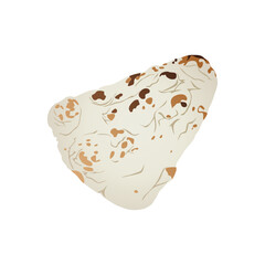 Naan Indian food vector illustration in realistic styles. Traditional flatbread design for culinary, restaurant, and food-related graphic projects.