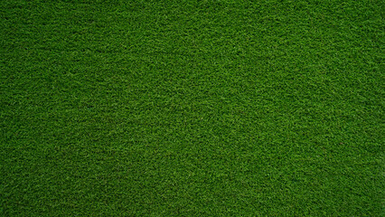 Green grass background, top view background of garden bright grass concept used for making green backdrop.