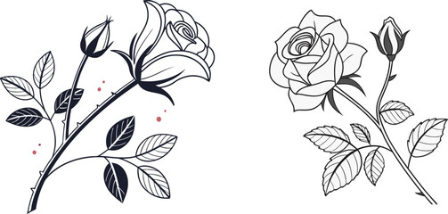 Rose Flower Vector Illustration on White Background