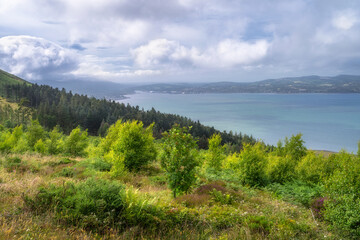 A breathtaking coastal view unfolds before you, showcasing lush greenery lining the shoreline beneath a gentle, soft, cloudy sky for exploration and adventure, Carlingford, Ireland