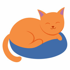 Sleeping cat on pillow with white background
