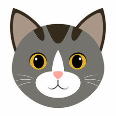 Cat face close-up with white background
