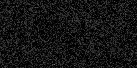 Abstract topographic map pattern, seamless black and white design, perfect for backgrounds or textures.
contour topographic wave nature curve geography.