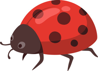 Ladybug Cartoon Illustration