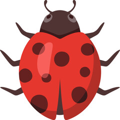 Ladybug Cartoon Illustration