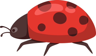 Ladybug Cartoon Illustration