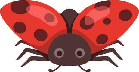 Ladybug Cartoon Illustration
