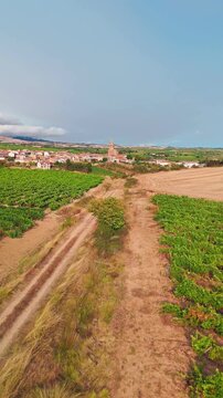 Aerial view of Bilar old town surrounded by beautiful vineyards in Spain