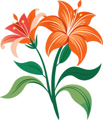 bouquet of orange lilies