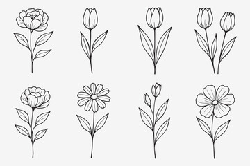 Elegant Vector Floral Collection Featuring Delicate Peonies Tulips and Daisies Perfect for Wedding Invitations and Botanical Design Elements with a Minimalist Style