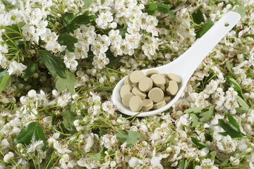 Hawthorn blossoms with tablets as supplement - Background