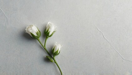 A white blank surface, 2 small blue and green flower buds decorate the upper corner of the surface, view from above, minimal, space for text