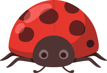 Ladybug Cartoon Illustration
