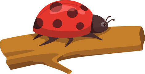 Ladybug Cartoon Illustration