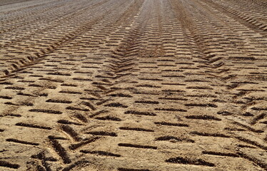 Traces géométriques sur le sol sec.