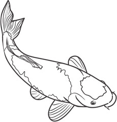 vector illustration of a fish