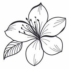 Stylized Black and White Fig Leaf Illustration