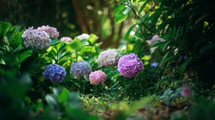 Confident businessman in formal wear with a warm smile, embodying professionalism and success