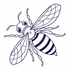 vector illustration of a wasp