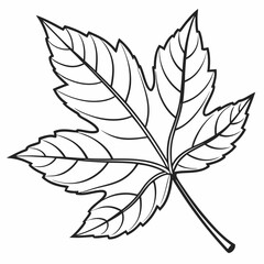 vector black silhouette of leaf