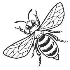 vector illustration of a black and white spider