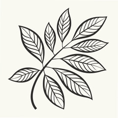 vector illustration of a leaf