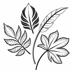 Black and white leaf pattern vector with feather and nature inspired design