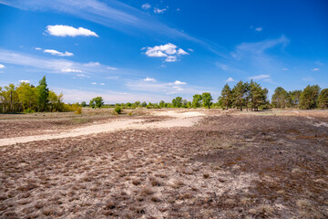 White Mountains Inland Dunes, Wielkopolska Province, Poland	