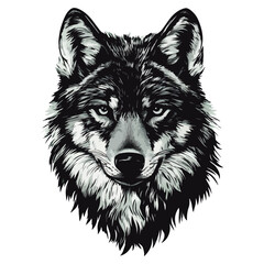 Fototapeta premium wolf, animal, vector, transparent background, isolated, canine, cute, breed, pet, predator, wildlife, nature, canis, carnivore, mammal, zoo, wild