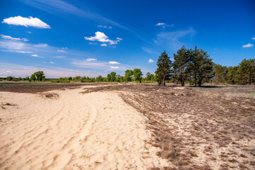 White Mountains Inland Dunes, Wielkopolska Province, Poland	