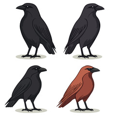 Obraz premium crow, animal, vector, transparent background, raven, nature, wildlife, feather, beak, isolated, wing, wild