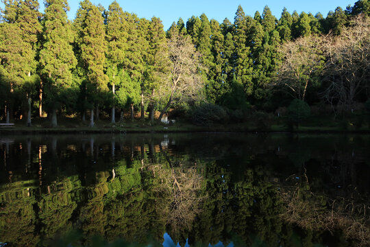 Lagoa das Patas, Terceira Island, Azores. View of Reserva Florestal de Recreio da Lagoa das Patas pond