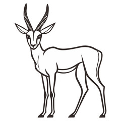 Fototapeta premium gazelle, animal, vector, transparent background, wildlife, mammal, nature, cute, antelope, zoo, isolated, farm, herbivore, springbok