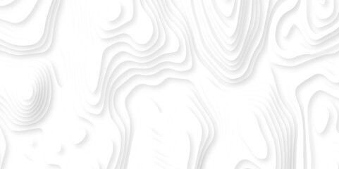 Abstract white paper cut background with lines. Background of the topographic map. White wave paper curved reliefs abstract background. Realistic papercut decoration textured with wavy layers.