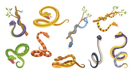 Obraz premium Set of cartoon color snake in various poses. Cute smiling animals, funny reptile of wild tropical nature. Flat vector isolated illustrations for kids design