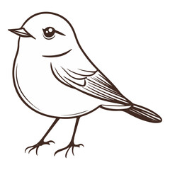 robin, erithacus rubecula, animal, vector, transparent background, beak, bird, nature, isolated, wildlife, feather, birds, feathers, cute, twitter, wing