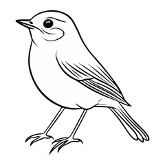 Obraz premium robin, erithacus rubecula, animal, vector, transparent background, beak, bird, nature, isolated, wildlife, feather, birds, feathers, cute, twitter, wing