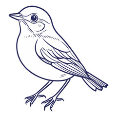 robin, erithacus rubecula, animal, vector, transparent background, beak, bird, nature, isolated, wildlife, feather, birds, feathers, cute, twitter, wing