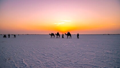Rann of Kutch White Desert India