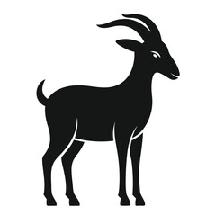 goat on white background