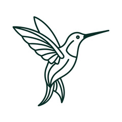 vector illustration of an hummingbird