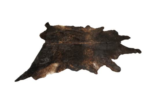 old map of south america  Dark Brindle Cowhide Rug