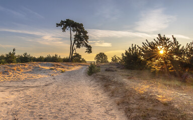 Sunrise on Aekingerzand Netherlands